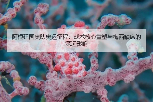a-gen-ting-guo-ao-dui-ao-yun-zheng-cheng-zhan-shu-he-xin-zhong-su-yu-mei-xi-que-xi-de-shen-yuan-ying-xiang-3-941.jpg
