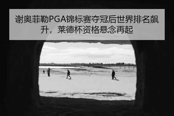 xie-ao-fei-lei-jin-biao-sai-duo-guan-hou-shi-jie-pai-ming-biao-sheng-lai-de-bei-zi-ge-xuan-nian-zai-qi-2-272.jpg