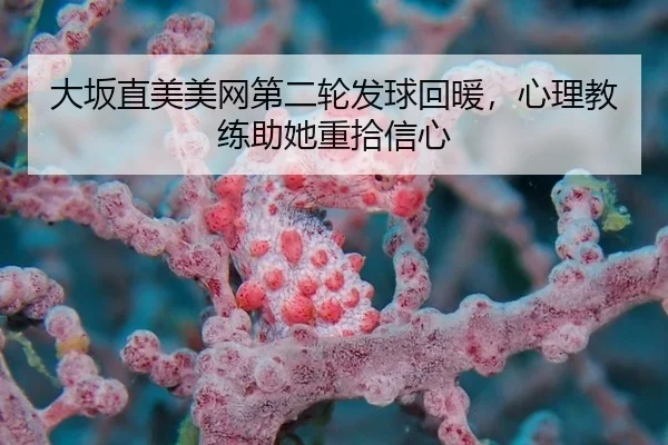 da-ban-zhi-mei-mei-wang-di-er-lun-fa-qiu-hui-nuan-xin-li-jiao-lian-zhu-ta-zhong-shi-xin-xin-2-203.jpg