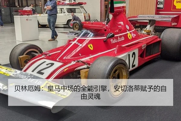 bei-lin-e-mu-huang-ma-zhong-chang-de-quan-neng-yin-qing-an-qie-luo-di-fu-yu-de-zi-you-ling-hun-3-827.jpg
